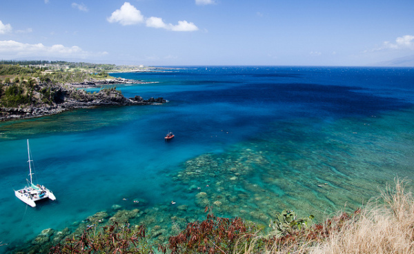 Maui Snorkeling - Honolua Bay