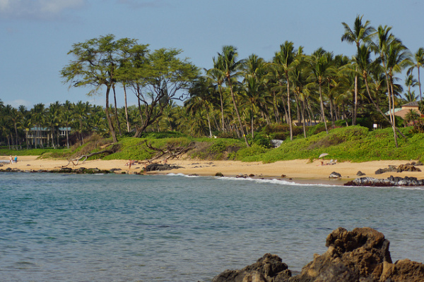 Maui Snorkeling - Ulua Beach